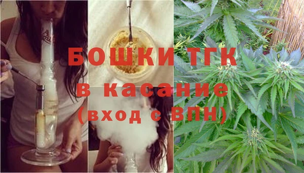 mdpv Краснослободск