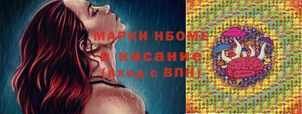 mdpv Краснослободск