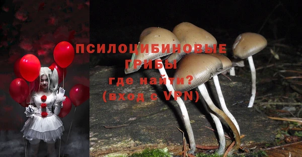 соль ск Кукмор