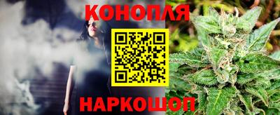бошки Заводоуковск