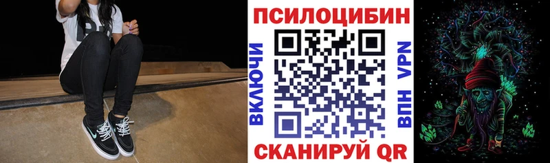 Галлюциногенные грибы Psilocybine cubensis Мариинск