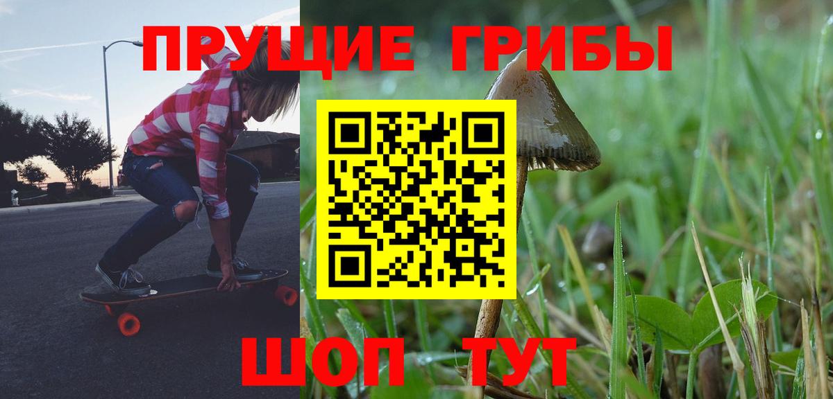 Псилоцибиновые грибы Psilocybine cubensis  Вход с VPN  цена   Мариинск  Псилоцибиновые грибы мицелий 